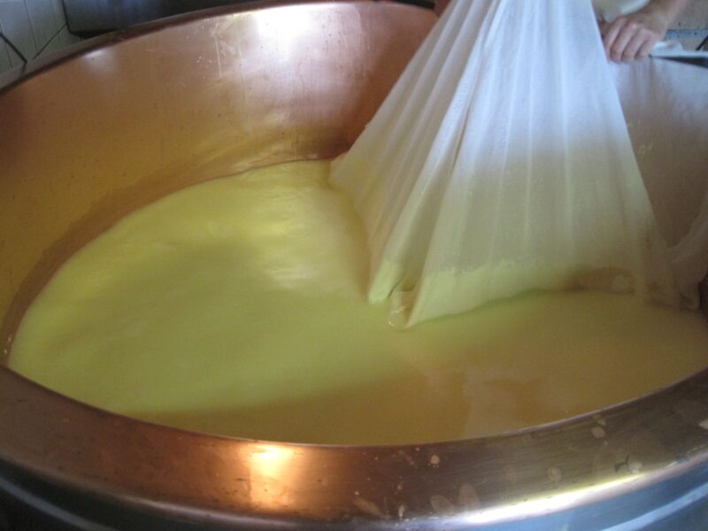 Cheese being made in a bowl with cheese cloth being pulled out of mixture