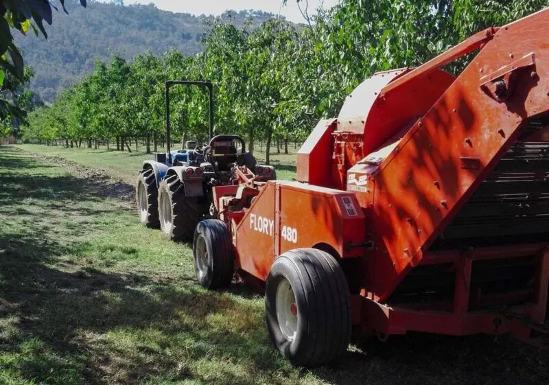 Walnut picking machinery with walnut trees in the background on a walnut farm in Australia
