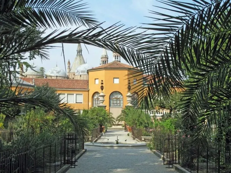 Yellow Building at end of path with ferns in foreground at Botanischer Garden in Padua - one of the best day trips from Venice