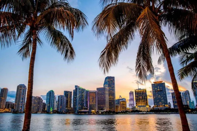 Skyline with ocean in front of it and palm trees in foreground at sunset in Miami