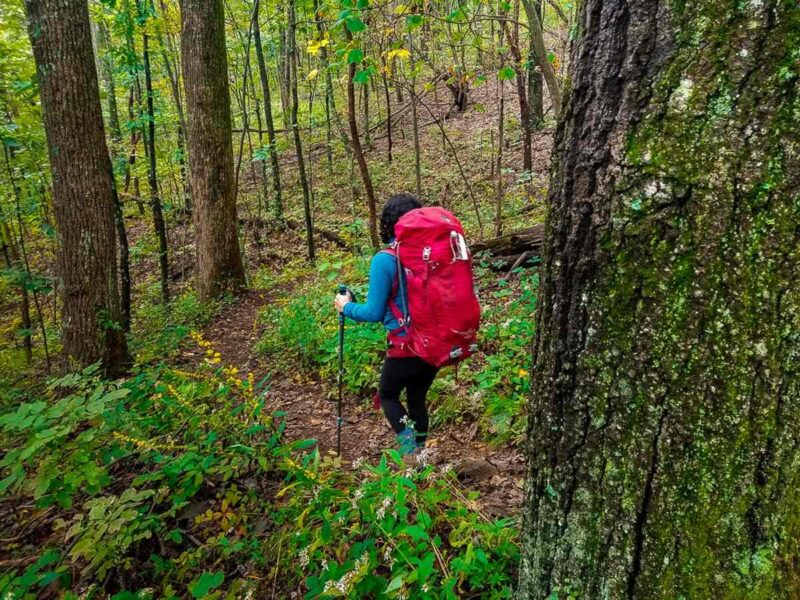 Women hiking on trail with red backpack on in the forest on the Three Ridges Hike - one of the best hikes near DC