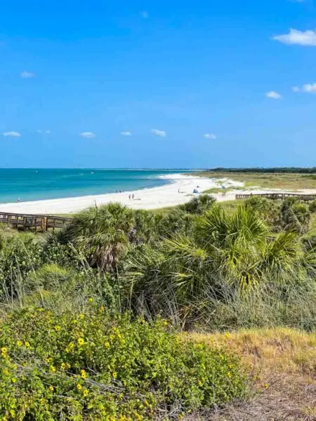 View of the beach and bushes in Fort De Soto Park