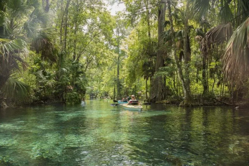 People kayaking down the river in Silver Springs State Park near Tampa Florida