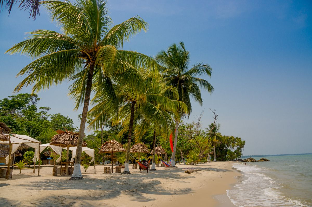 Palm trees and umbrellas on beach at Livingstone, Guatemala