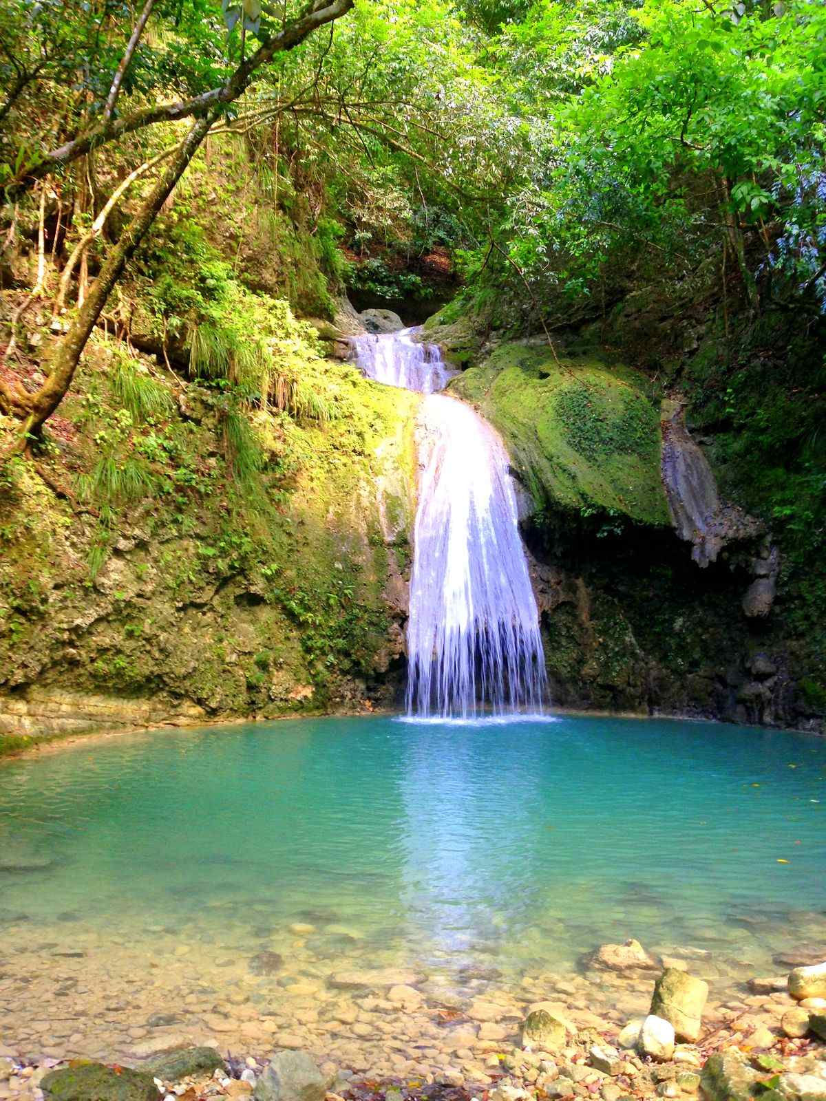 La Rejolla Waterfall Puerto Plata best place to visit in Dominican Republic