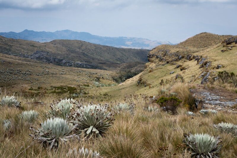 Paramo de Oceta one of the things to do in Colombia