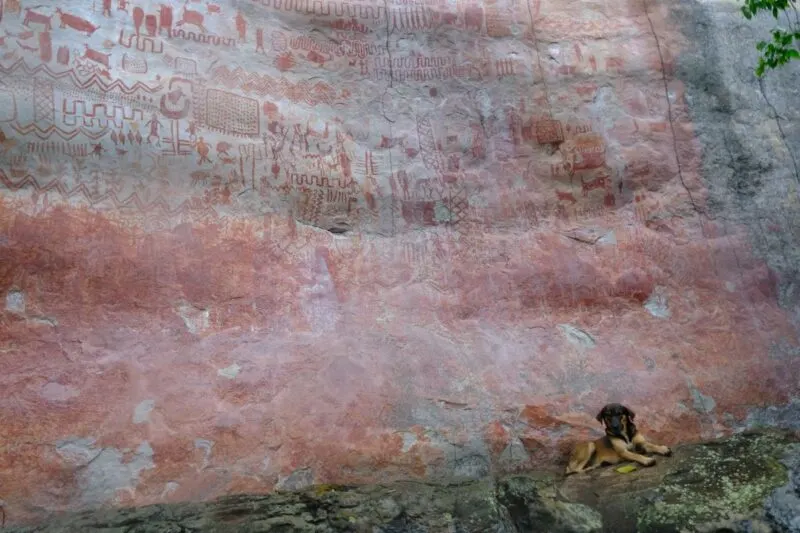 Rock paintings at San Jose del Guaviare things to do in Colombia