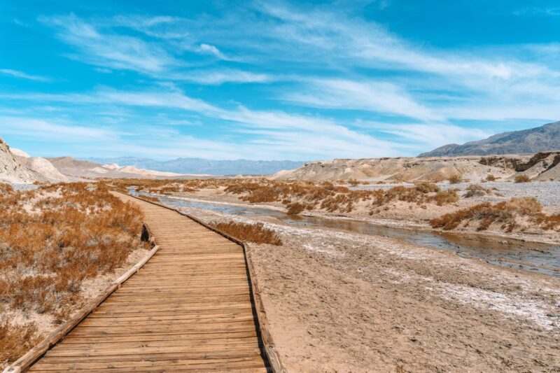 Salt Creek Interpretive Trail hikes in Death Valley National Park