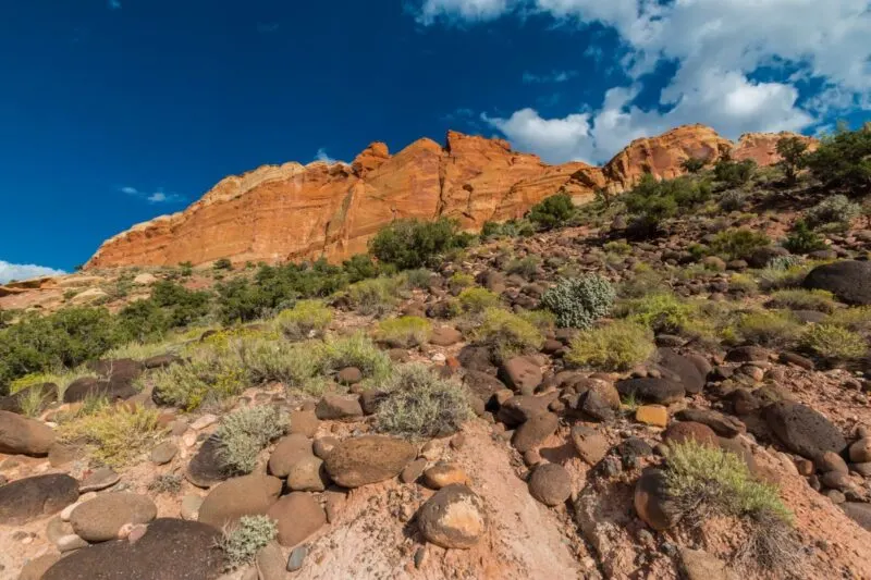 Sandstone cliffs near Cohab Canyon one of the best hikes in Southern Utah