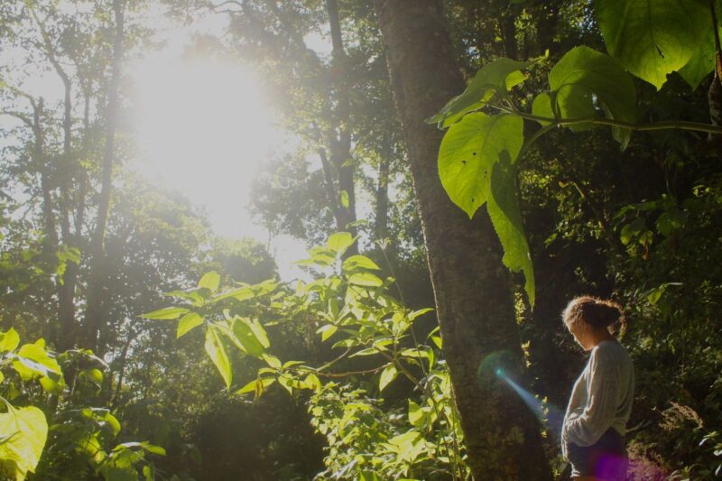 Woman in jungle at San Jose del Pacifico things to do in Oaxaca