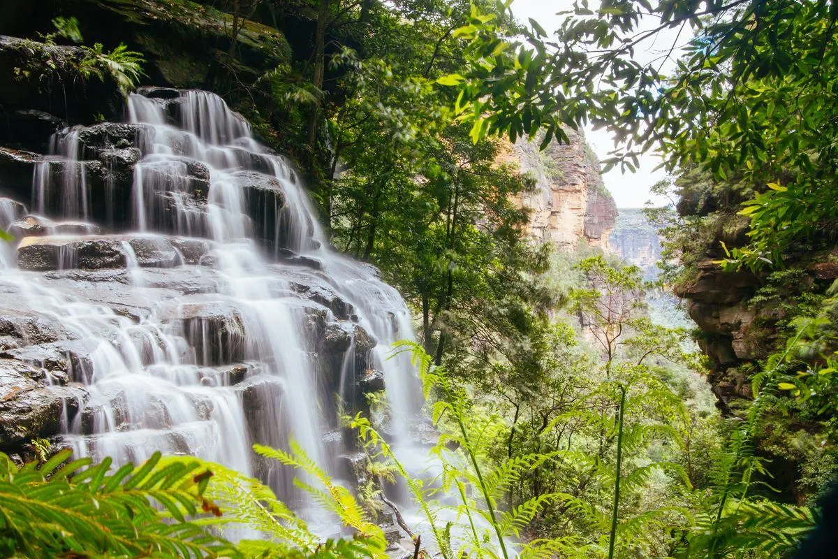 Best Hikes in NSW