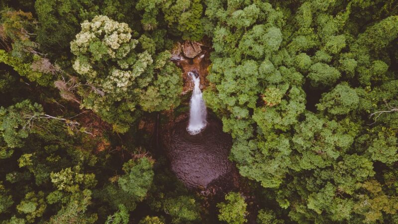 Overhead view of Clover Hill waterfall Macquarie Pass National Park best hikes in NSW