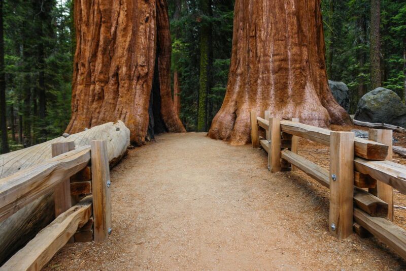 Congress Trail things to do in Sequoia National Park