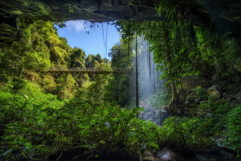 Crystal Falls and bridge Dorrigo National Park best hikes in NSW