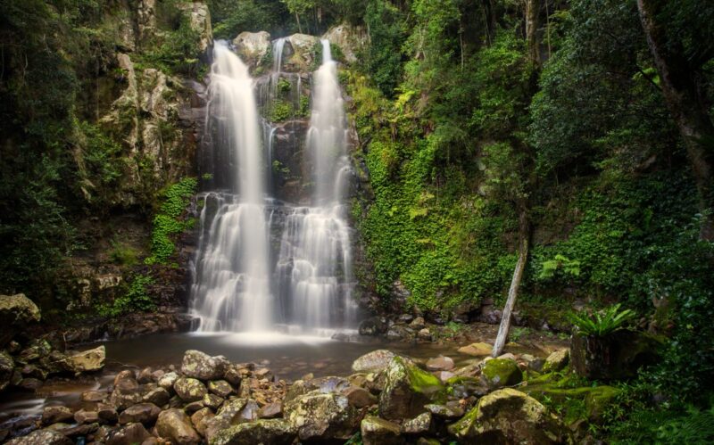 Minnamurra Falls best hikes in NSW