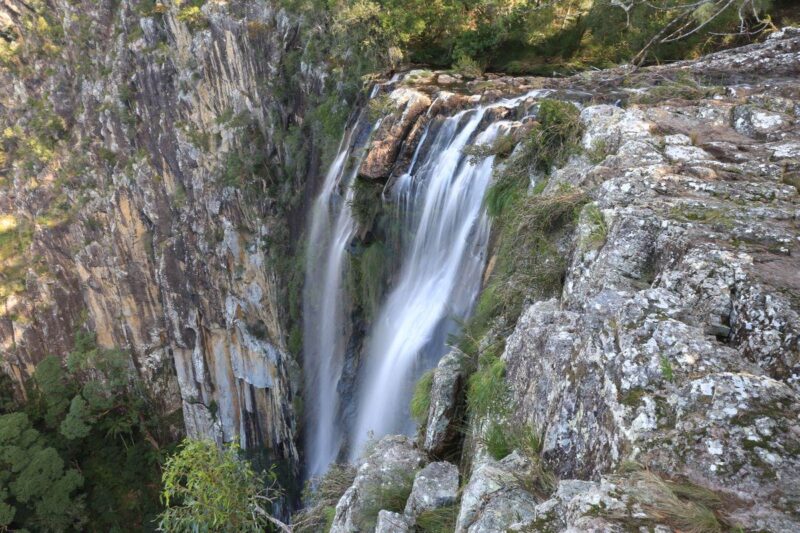 Minyon Falls Byron Bay best hikes in NSW