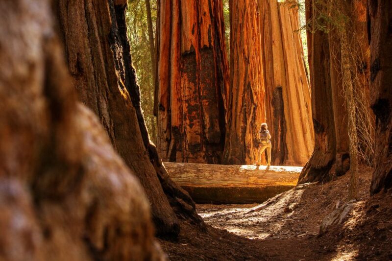 Things to do in Sequoia National Park