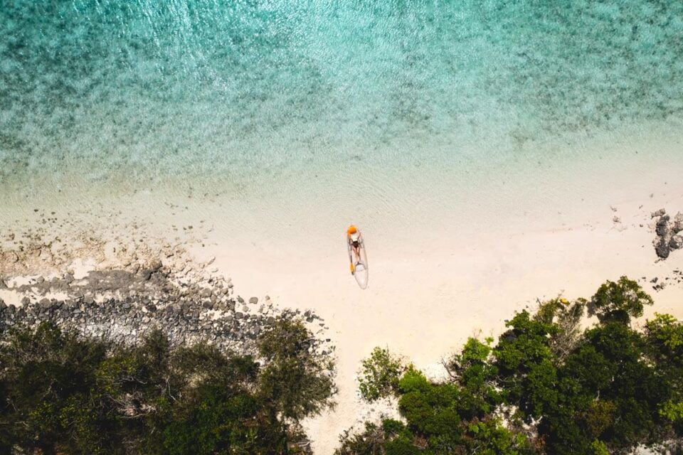 17+ Things To Do in Turks and Caicos for the Adventurous + Tips