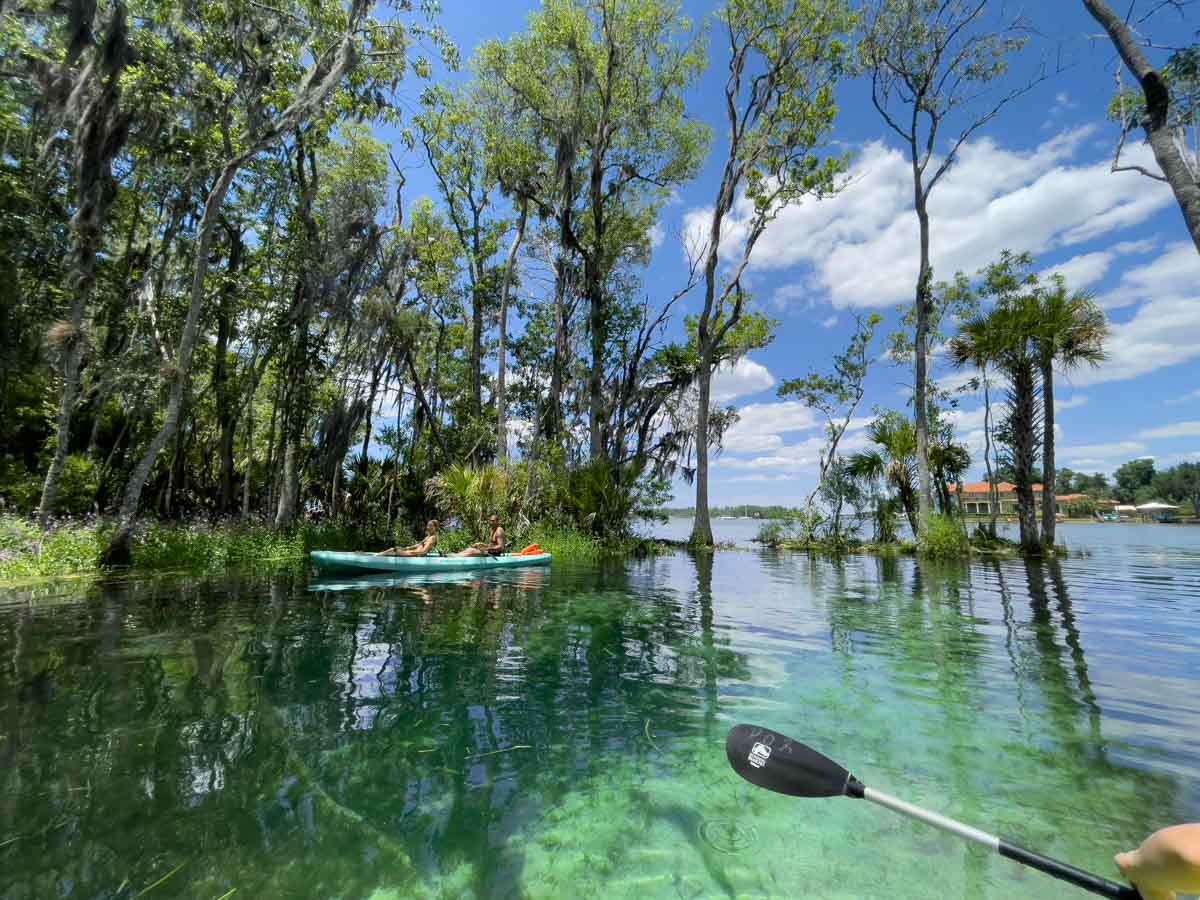 Kayaking Around Three Sisters Springs in Crystal River, Florida
