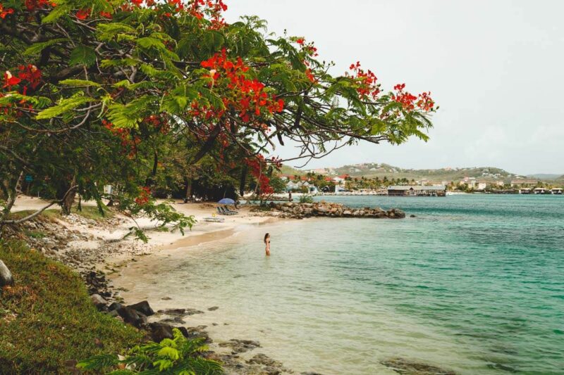 Pigeon Island National Landmark Beach things to do in St Lucia