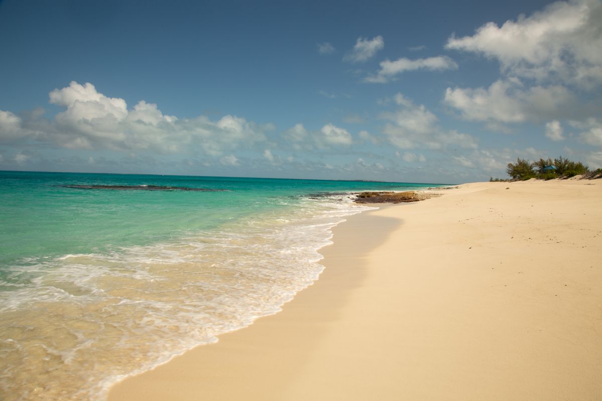 Beach at Salt Cay things to do in Turks and Caicos