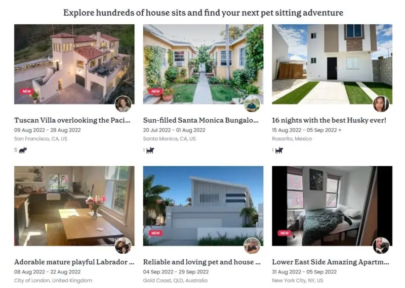 Example sits TrustedHousesitters review