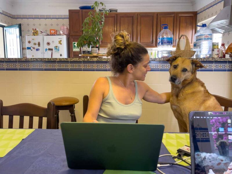 woman working on laptop as a digital nomad at a table with a dog