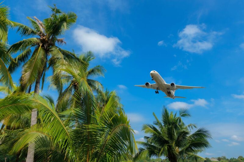 Plane flying over palm trees Caribbean island hopping