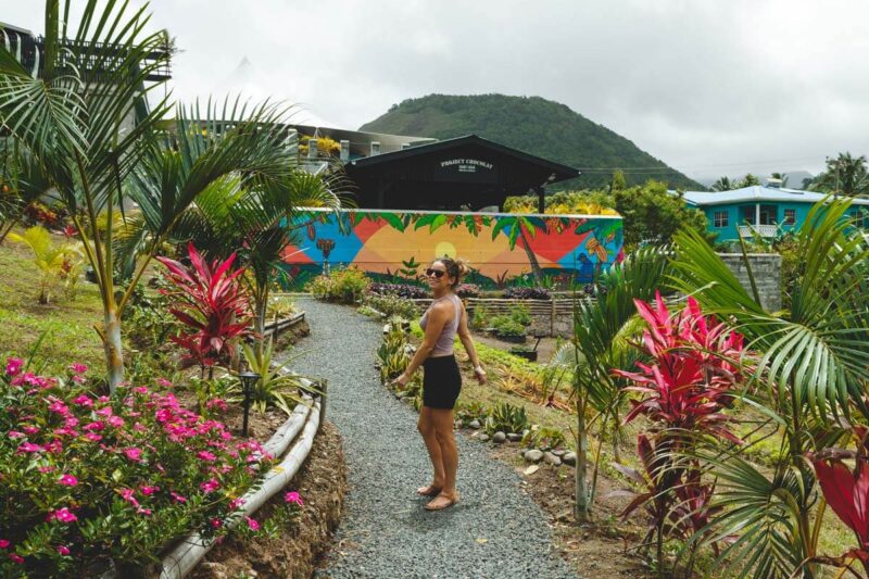 Gardens at Hotel Chocolat things to do in St Lucia