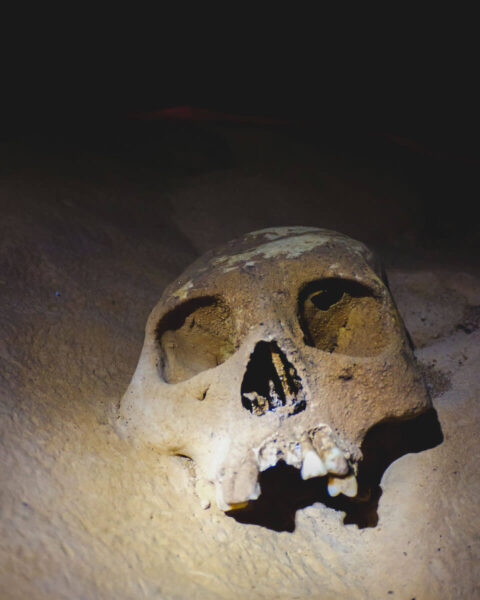 Skull at Actun Tunchil Muknal Cave for things to do in San Ignacio, Belize