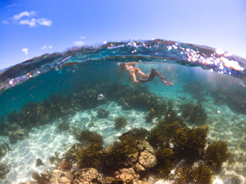 Snorkeler at Hol Chan Marine Reserve at the best beaches in Belize