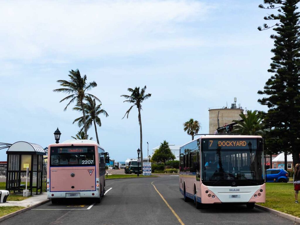 Local buses for things to do in Bermuda