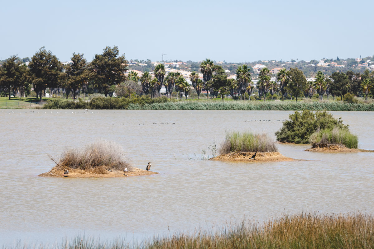 Visit Lagoa dos Salgados when looking for things to do in Albufeira. Visit Lagoa dos Salgados when looking for things to do in Albufeira.