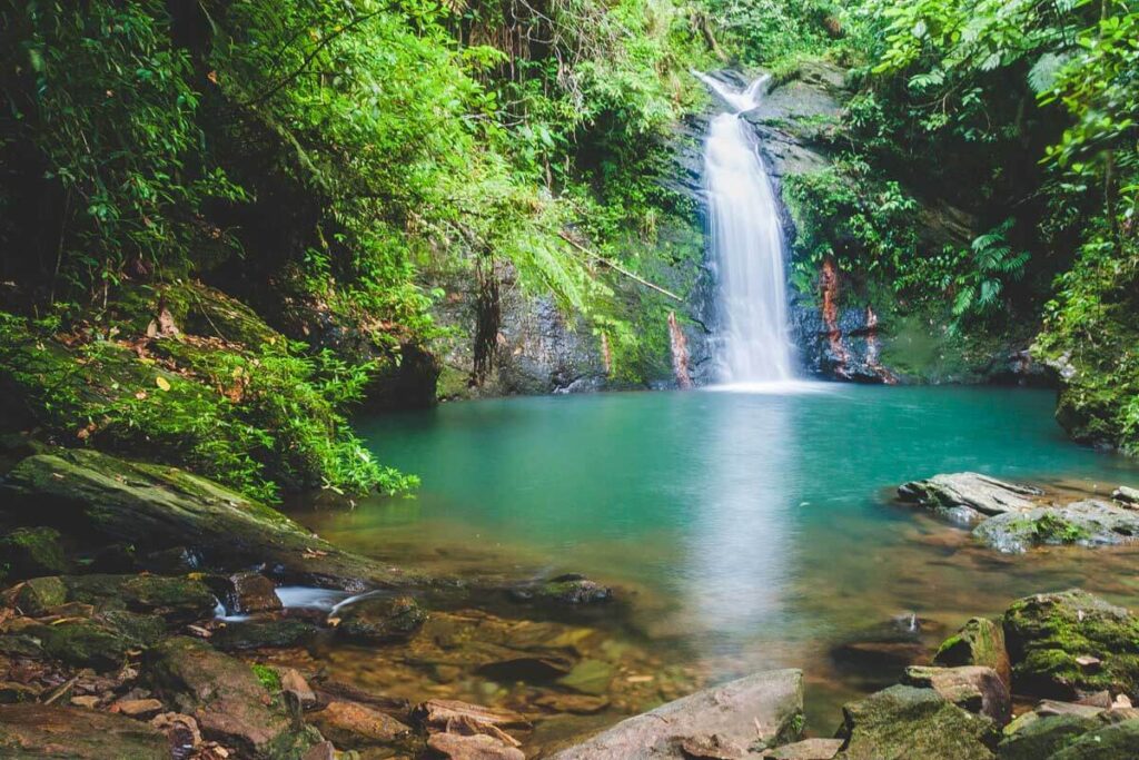 Tiger Fern Waterfalls in Cockscomb Basin one of the best waterfalls in Belize.