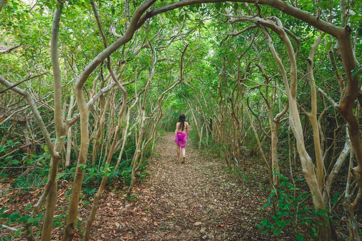 Woman walking trail through Tom Moore's Jungle near Blue Hole Park surrounded by green trees