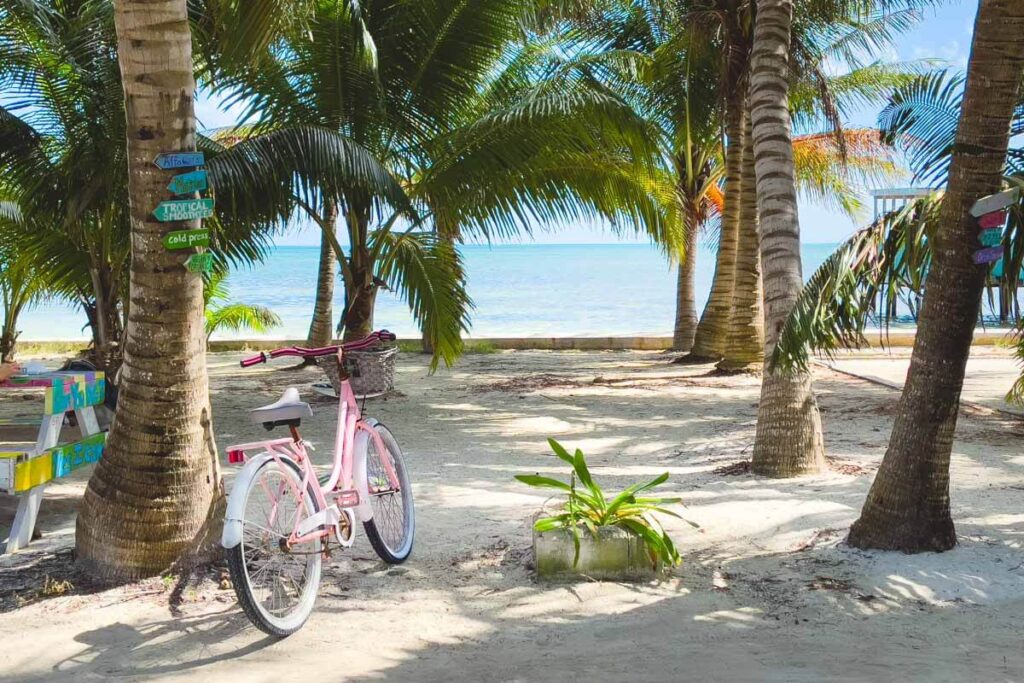trees and bike in Caye Caulker, Belize