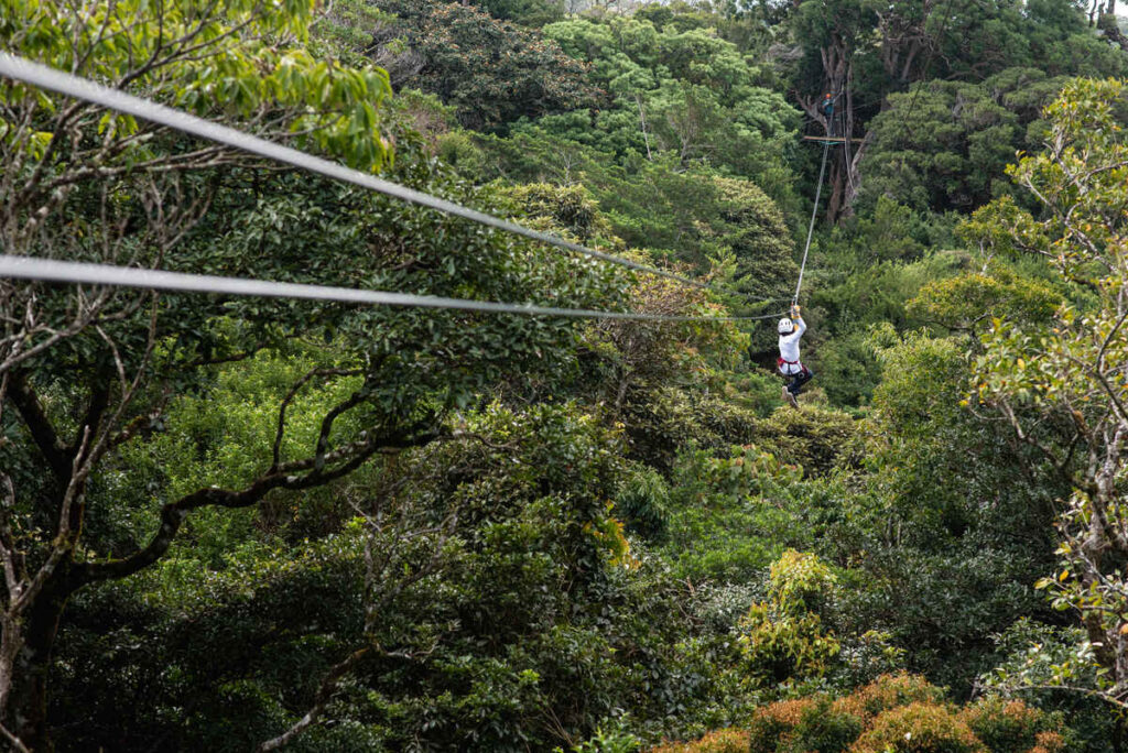 Ziplining for things to do in St. Lucia