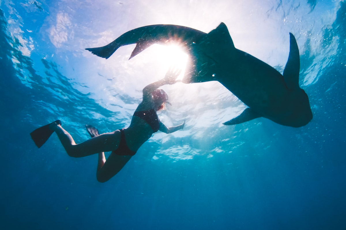 Caye Caulker Snorkeling: Your Underwater Playground!