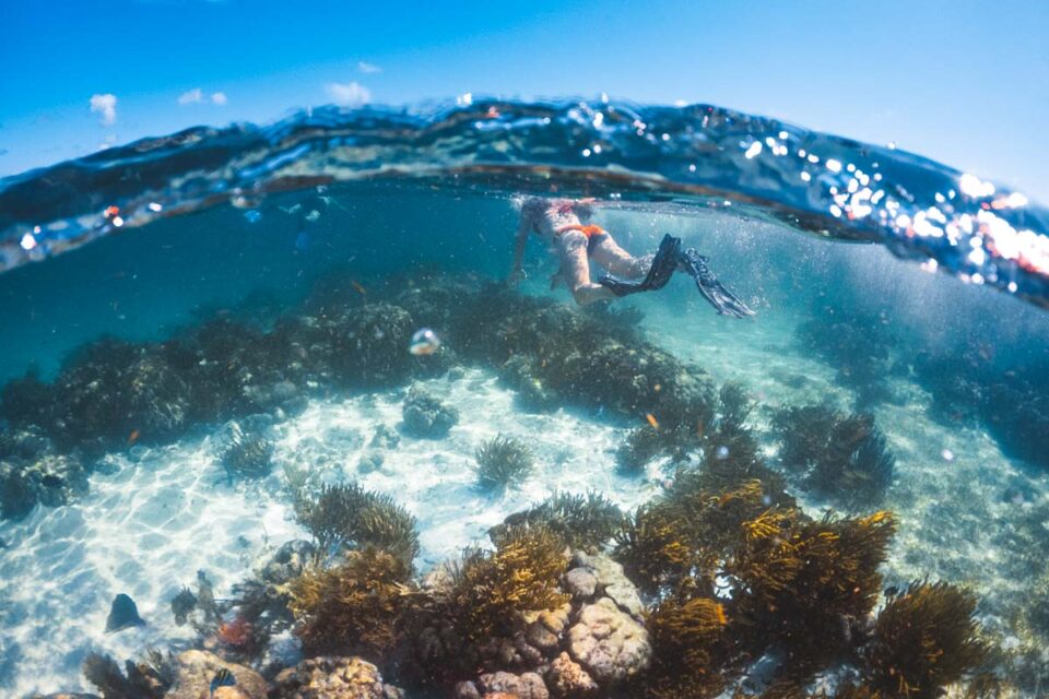 Caye Caulker Snorkeling Your Underwater Playground!