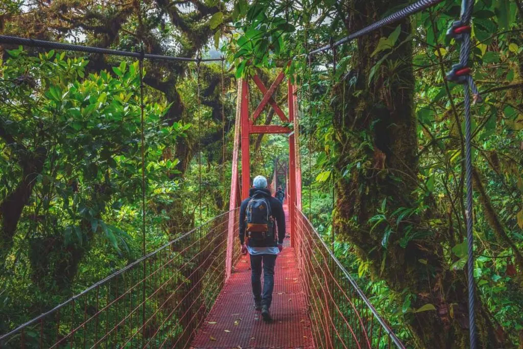 One of the best things to do is visit the Monteverde Cloud Forest and walk across sky bridges