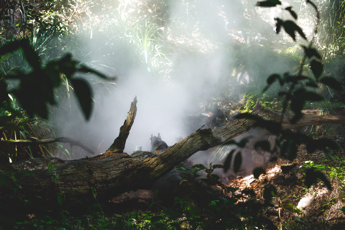 Geothermal steam rising from the ground in the forests of Rincon de la Vieja National Park.