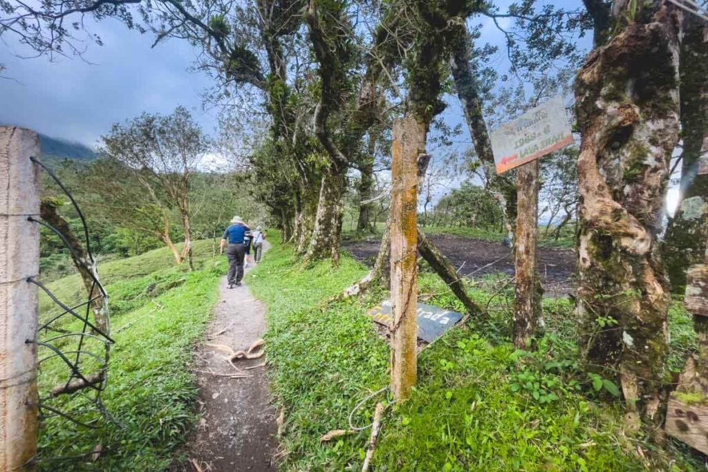 Walking along the hiking trails around Arenal volcano.