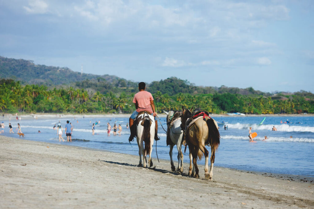 A Costa Rican man offering horseback riding at Samara Beach.
