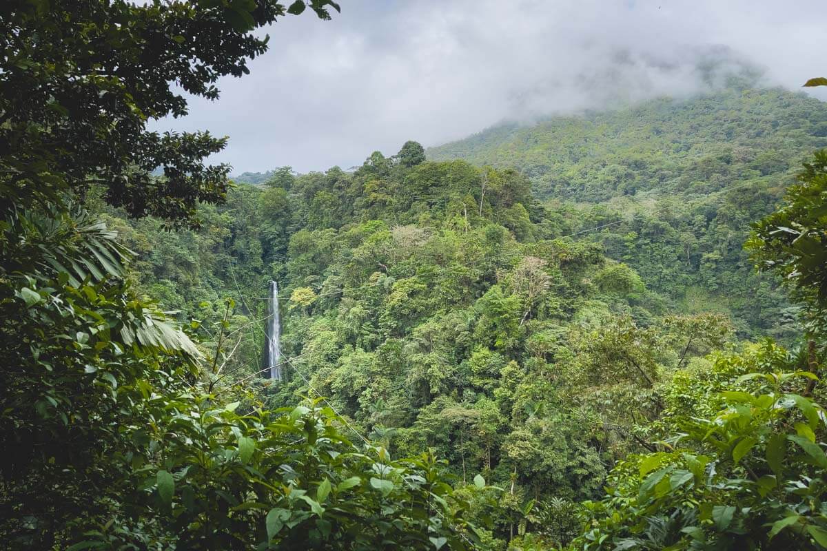 Hiking to La Fortuna Waterfall: What to Know!