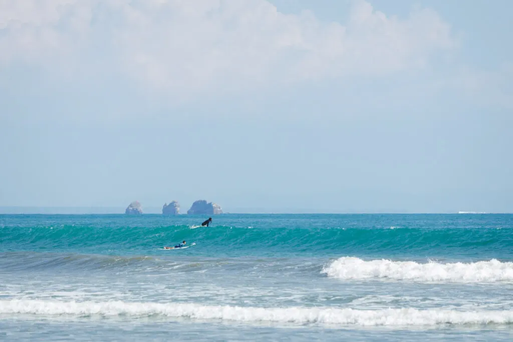 Surfers on the waves in Marino Ballena National Park.