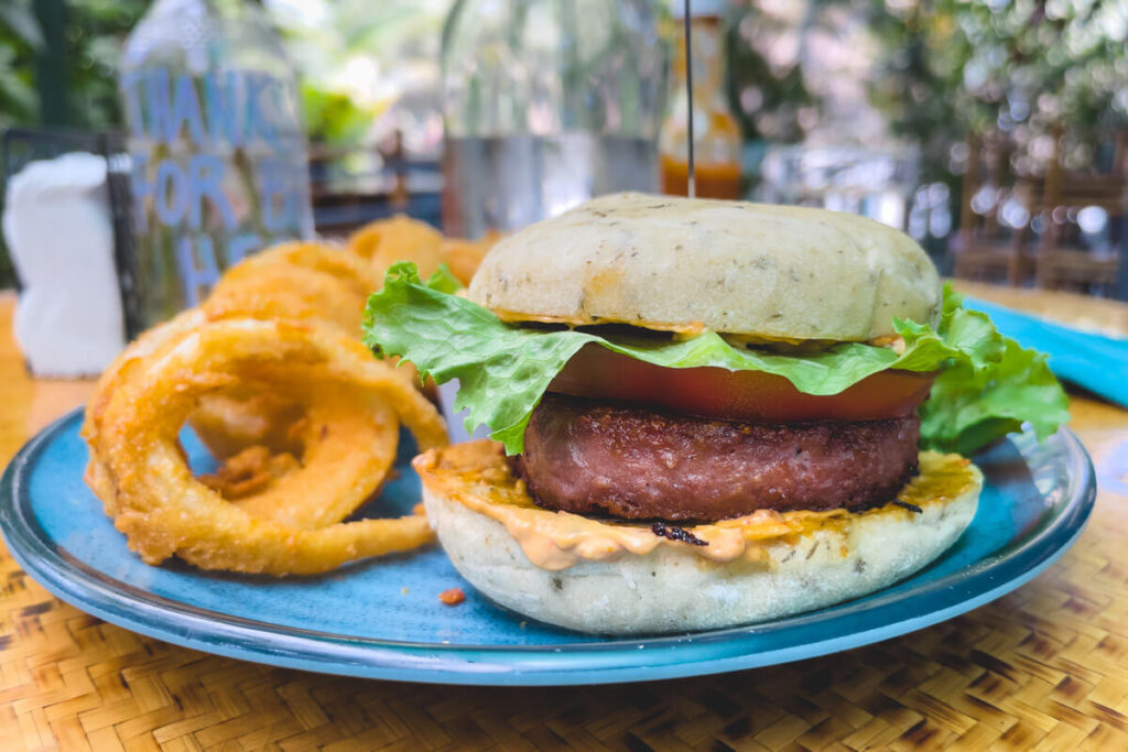 A burger and onion rings at Indomitos Cafe and Bar in Uvita.