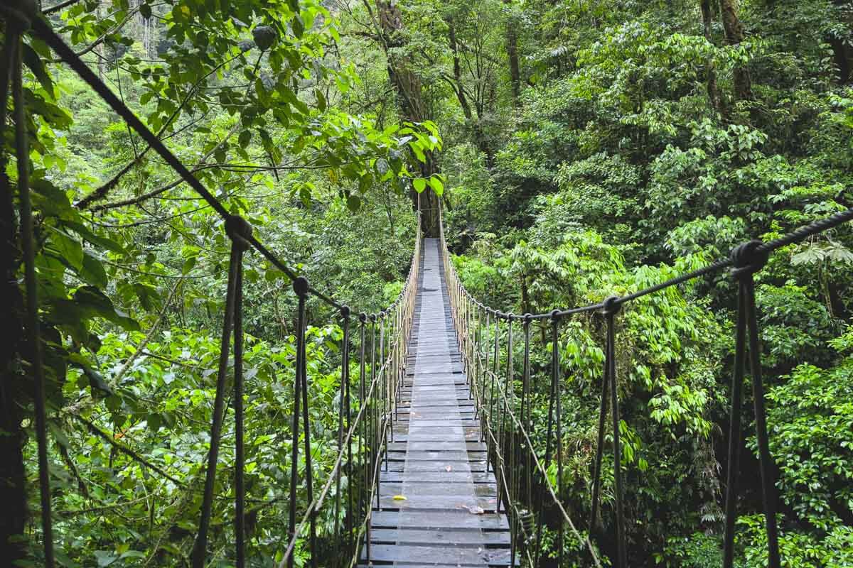 A hanging bridge along the El Tigre Waterfalls hiking trail.