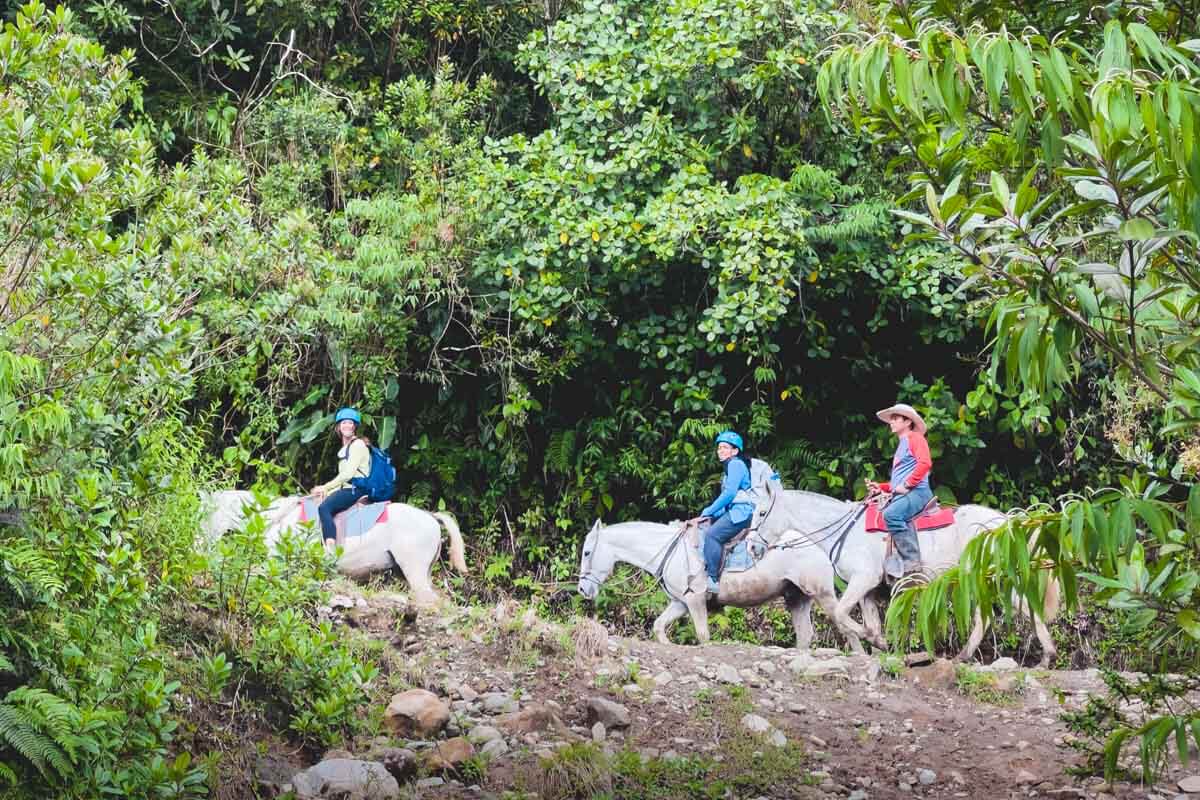Tourists riding horses along the El Tigre Waterfalls trail.