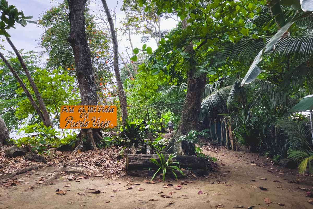 Walking along the palm lined Cocales Beach Trail in Puerto Viejo. Walking along the palm lined Cocales Beach Trail in Puerto Viejo.