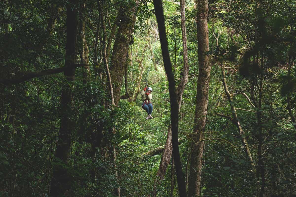 A woman ziplining through the middle of a forest.